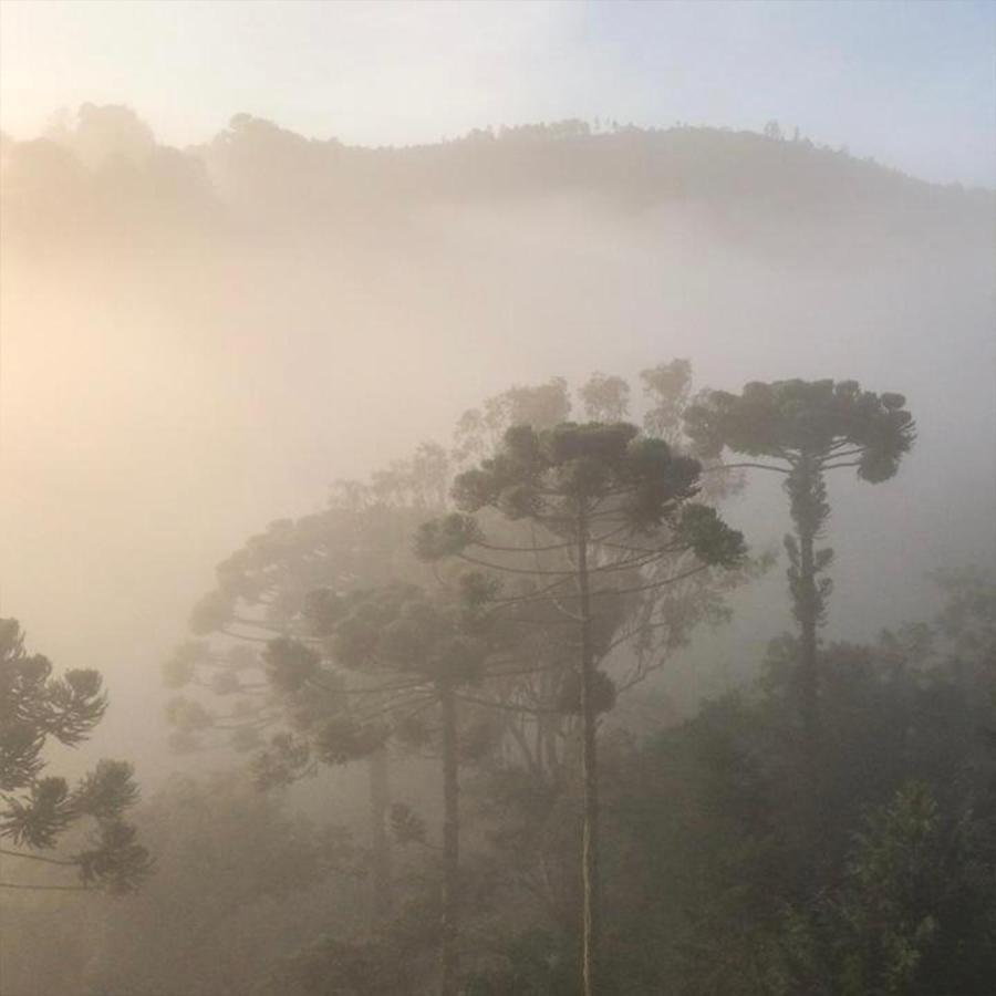 Pousada Alpes Azul Ξενοδοχείο Campos do Jordão Εξωτερικό φωτογραφία