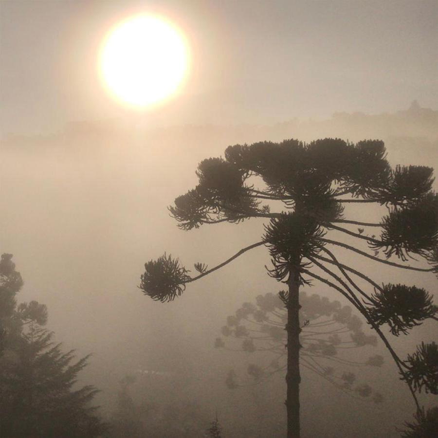 Pousada Alpes Azul Ξενοδοχείο Campos do Jordão Εξωτερικό φωτογραφία